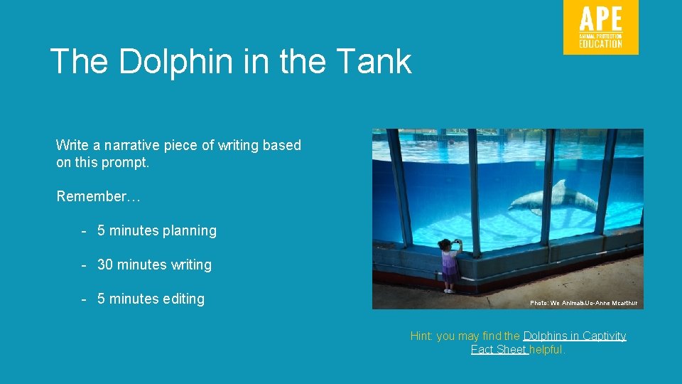 The Dolphin in the Tank Write a narrative piece of writing based on this