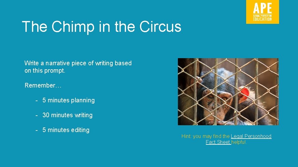 The Chimp in the Circus Write a narrative piece of writing based on this