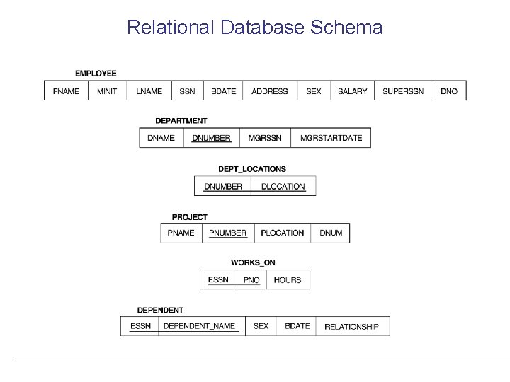 Relational Database Schema 