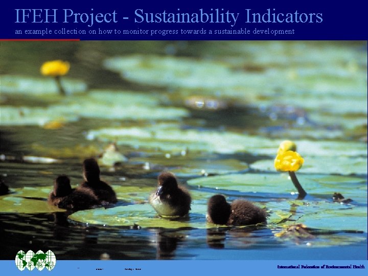 IFEH Project - Sustainability Indicators an example collection on how to monitor progress towards