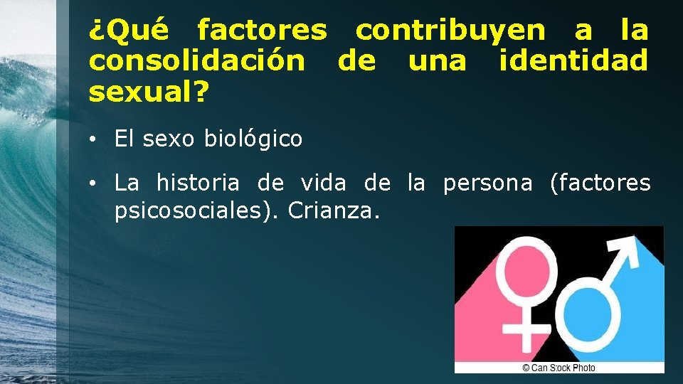 ¿Qué factores contribuyen a la consolidación de una identidad sexual? • El sexo biológico