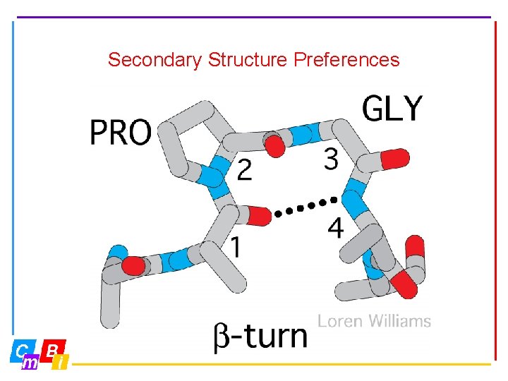 Secondary Structure Preferences 