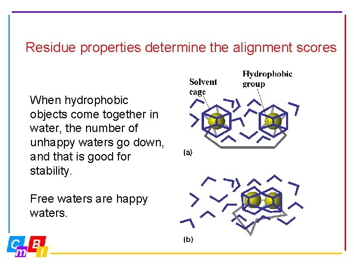 Residue properties determine the alignment scores When hydrophobic objects come together in water, the