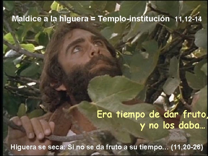 Maldice a la higuera = Templo-institución 11, 12 -14 Era tiempo de dar fruto,