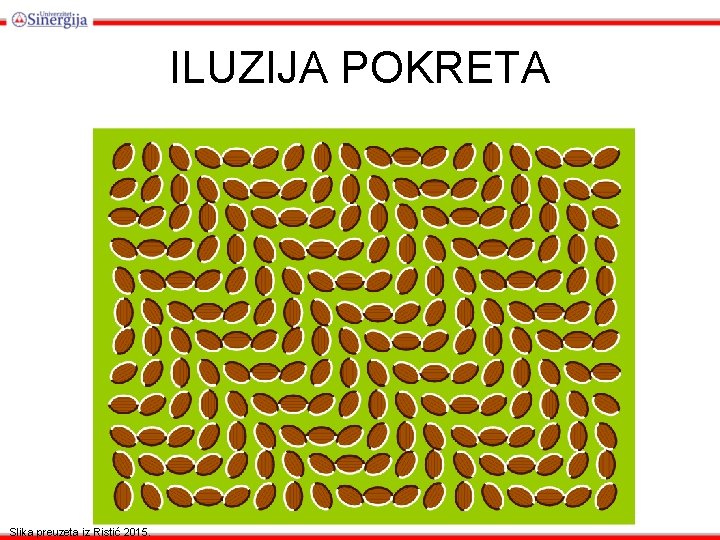 ILUZIJA POKRETA Slika preuzeta iz Ristić 2015. ILUZIJA POKRETA Slika preuzeta iz Ristić 2015.