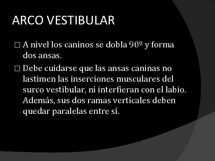 ARCO VESTIBULAR � A nivel los caninos se dobla 90º y forma dos ansas. ARCO VESTIBULAR � A nivel los caninos se dobla 90º y forma dos ansas.
