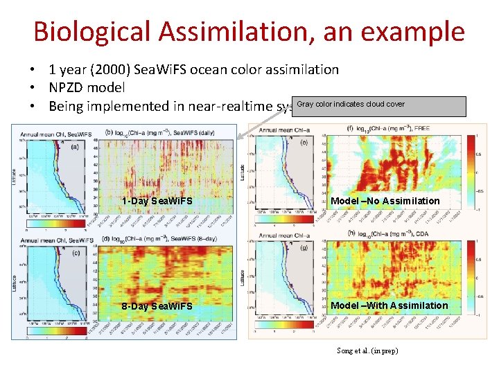 Biological Assimilation, an example • 1 year (2000) Sea. Wi. FS ocean color assimilation Biological Assimilation, an example • 1 year (2000) Sea. Wi. FS ocean color assimilation
