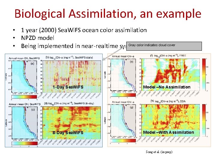 Biological Assimilation, an example • 1 year (2000) Sea. Wi. FS ocean color assimilation