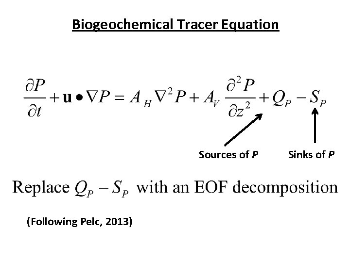 Biogeochemical Tracer Equation Sources of P (Following Pelc, 2013) Sinks of P 