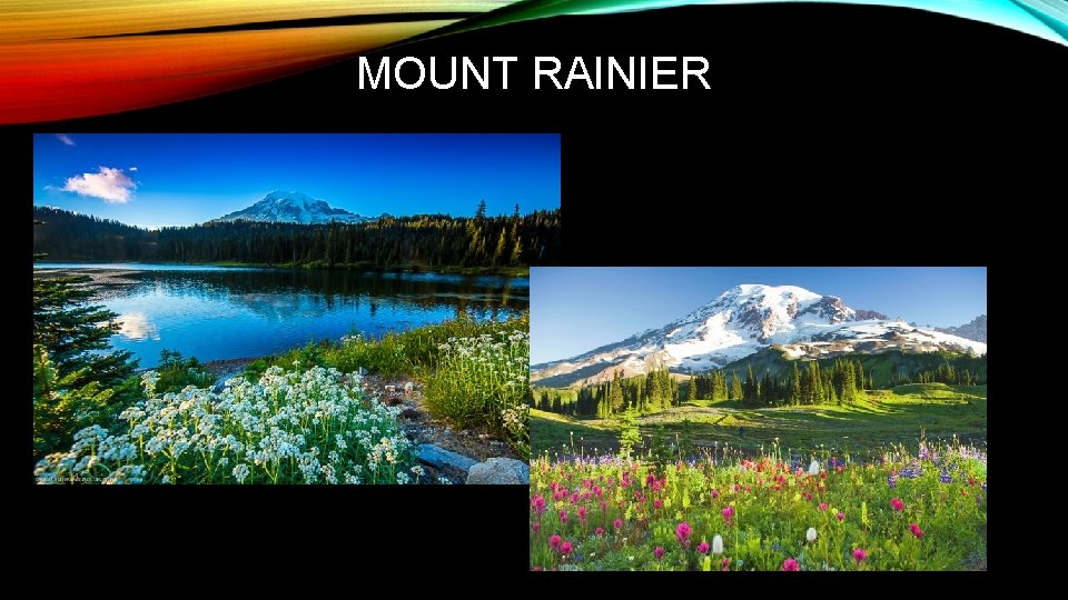 MOUNT RAINIER MOUNT RAINIER