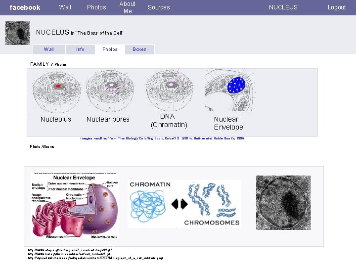 facebook Wall Photos About Me Sources NUCLEUS NUCELUS is “The Boss of the Cell”