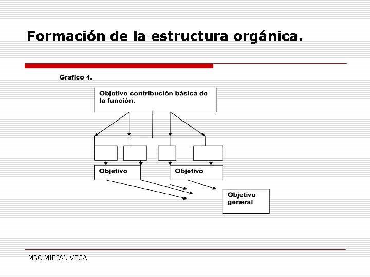 Formación de la estructura orgánica. MSC MIRIAN VEGA 