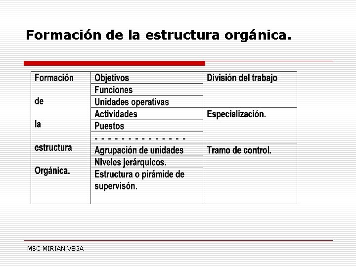 Formación de la estructura orgánica. MSC MIRIAN VEGA 