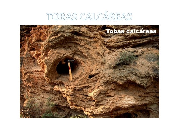 TOBAS CALCÁREAS 