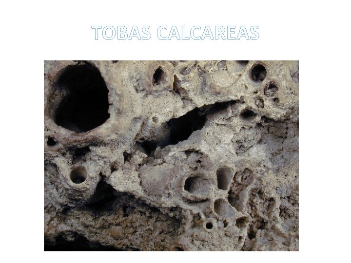 TOBAS CALCAREAS 