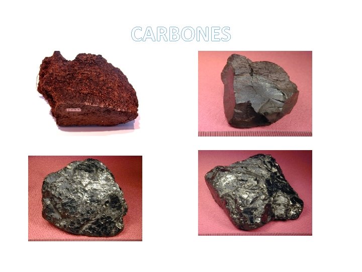 CARBONES 