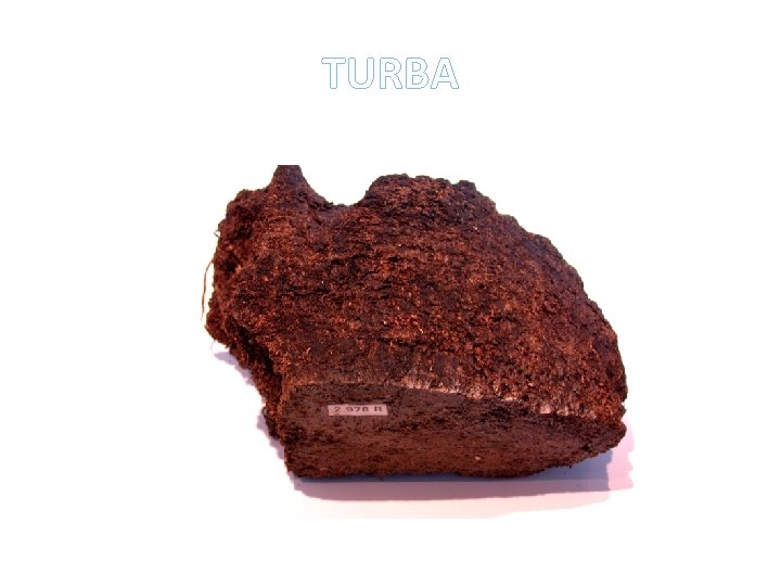 TURBA 