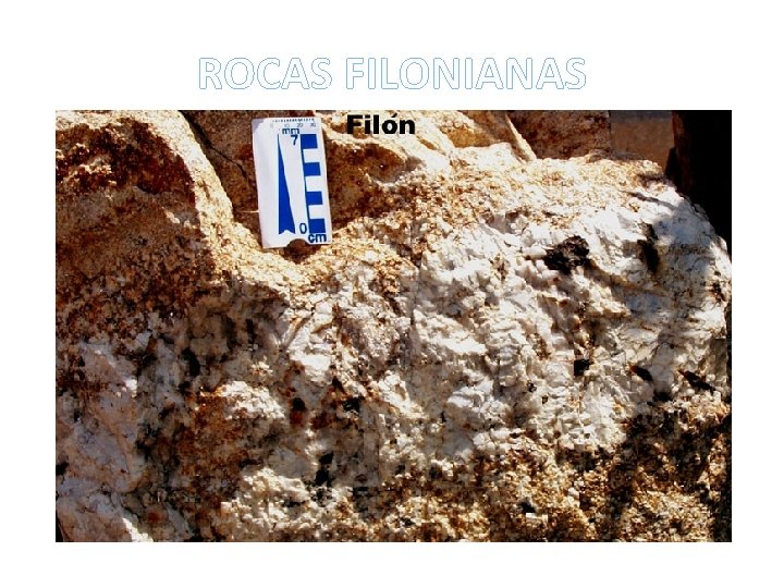 ROCAS FILONIANAS 