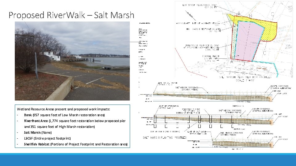 Proposed River. Walk – Salt Marsh Wetland Resource Areas present and proposed work impacts: