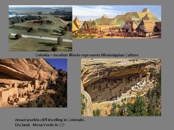  • djd Cohokia = location Illinois represents Mississippian Culture Ansazi pueblo cliff dwelling