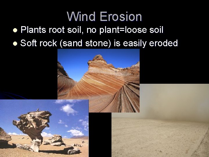 Wind Erosion Plants root soil, no plant=loose soil l Soft rock (sand stone) is