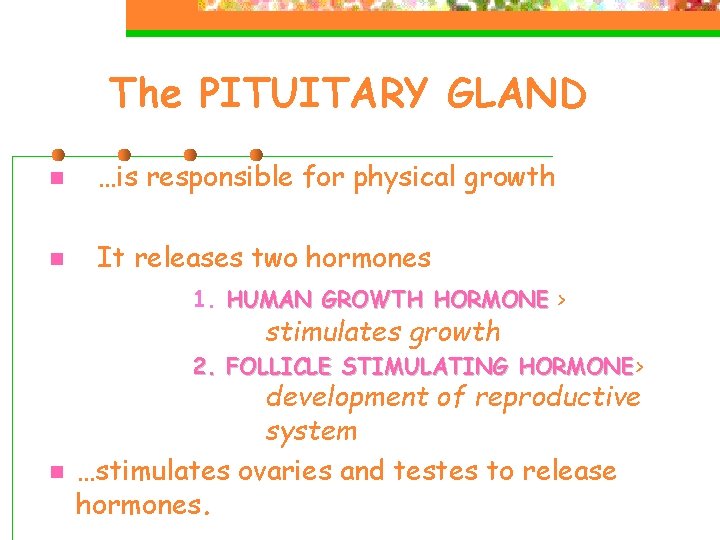 The PITUITARY GLAND n …is responsible for physical growth n It releases two hormones The PITUITARY GLAND n …is responsible for physical growth n It releases two hormones