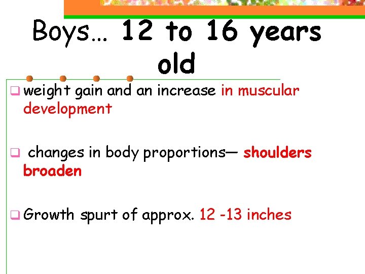 Boys… 12 to 16 years old q weight gain and an increase in muscular Boys… 12 to 16 years old q weight gain and an increase in muscular