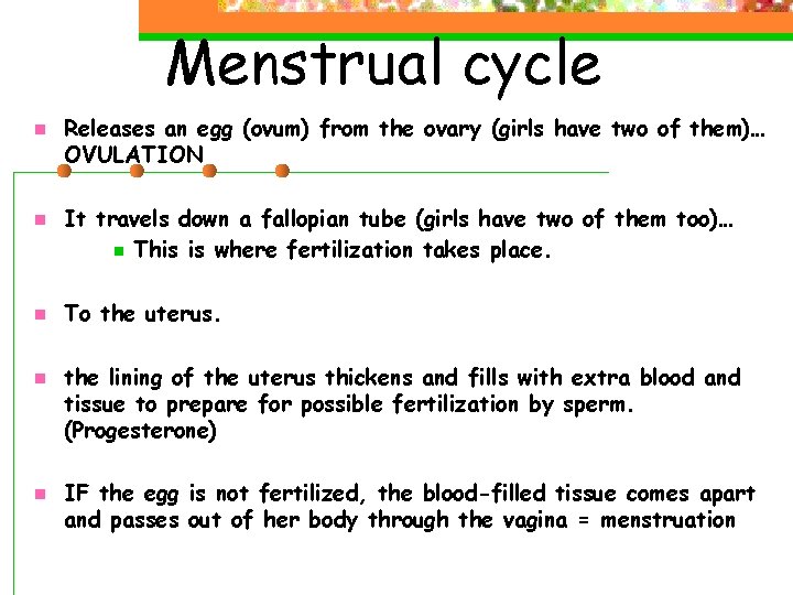 Menstrual cycle n n n Releases an egg (ovum) from the ovary (girls have Menstrual cycle n n n Releases an egg (ovum) from the ovary (girls have