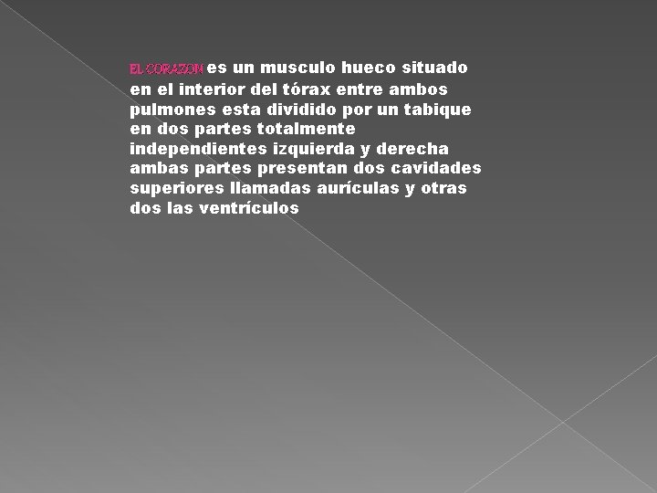 EL CORAZON es un musculo hueco situado en el interior del tórax entre ambos