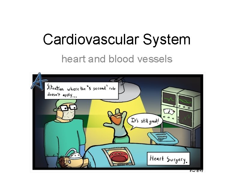 Cardiovascular System heart and blood vessels 