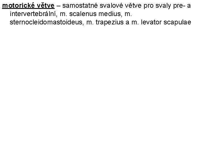 motorické větve – samostatné svalové větve pro svaly pre- a intervertebrální, m. scalenus medius,