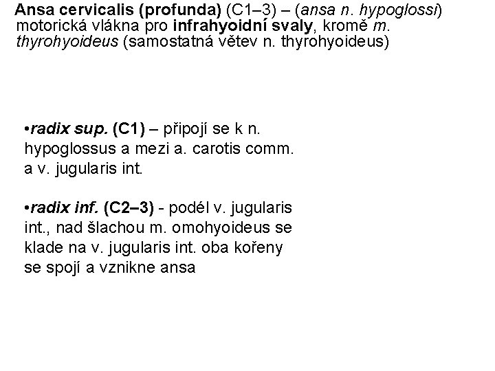  Ansa cervicalis (profunda) (C 1– 3) – (ansa n. hypoglossi) motorická vlákna pro