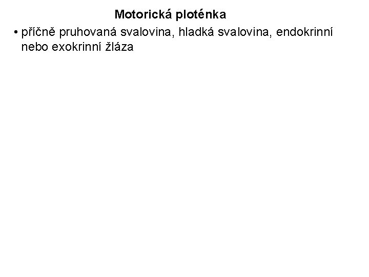 Motorická ploténka • příčně pruhovaná svalovina, hladká svalovina, endokrinní nebo exokrinní žláza 