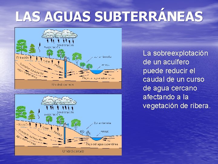 LAS AGUAS SUBTERRÁNEAS La sobreexplotación de un acuífero puede reducir el caudal de un