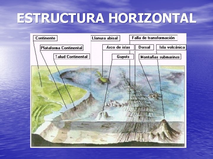 ESTRUCTURA HORIZONTAL 