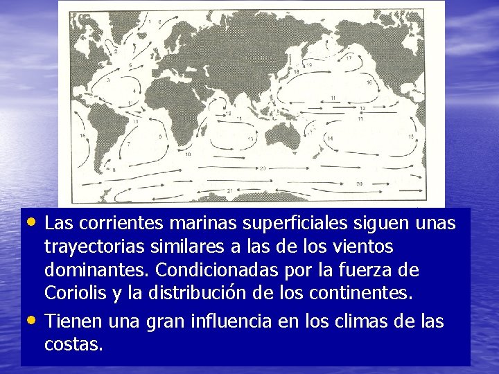  • Las corrientes marinas superficiales siguen unas • trayectorias similares a las de