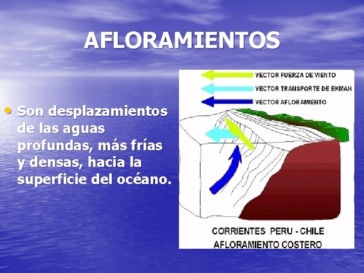 AFLORAMIENTOS • Son desplazamientos de las aguas profundas, más frías y densas, hacia la