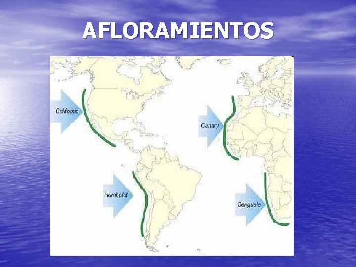 AFLORAMIENTOS 