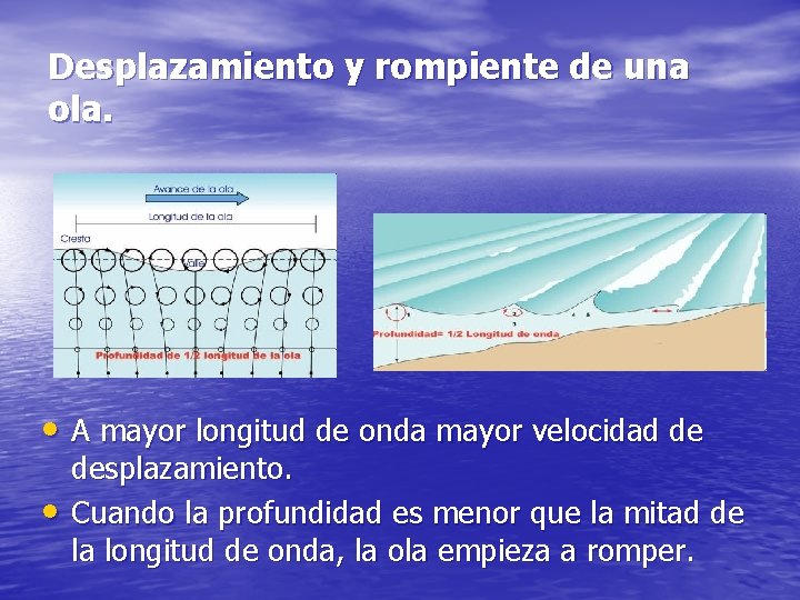 Desplazamiento y rompiente de una ola. • A mayor longitud de onda mayor velocidad