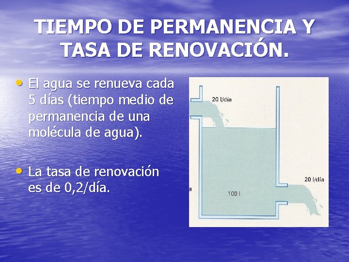 TIEMPO DE PERMANENCIA Y TASA DE RENOVACIÓN. • El agua se renueva cada 5