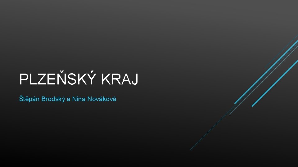 PLZEŇSKÝ KRAJ Štěpán Brodský a Nina Nováková 