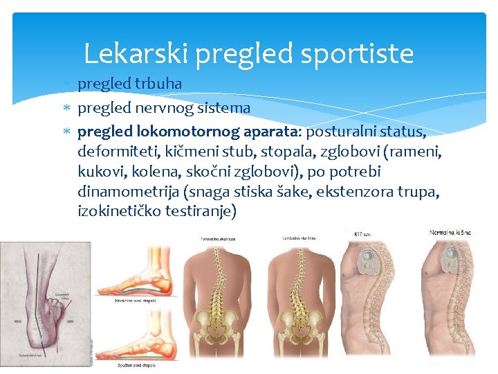 Lekarski pregled sportiste pregled trbuha pregled nervnog sistema pregled lokomotornog aparata: posturalni status, deformiteti,