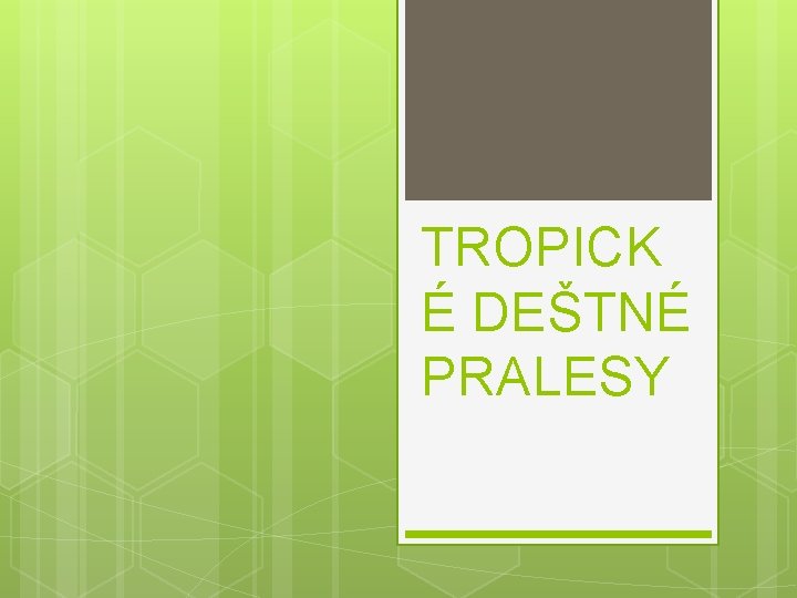 TROPICK É DEŠTNÉ PRALESY 