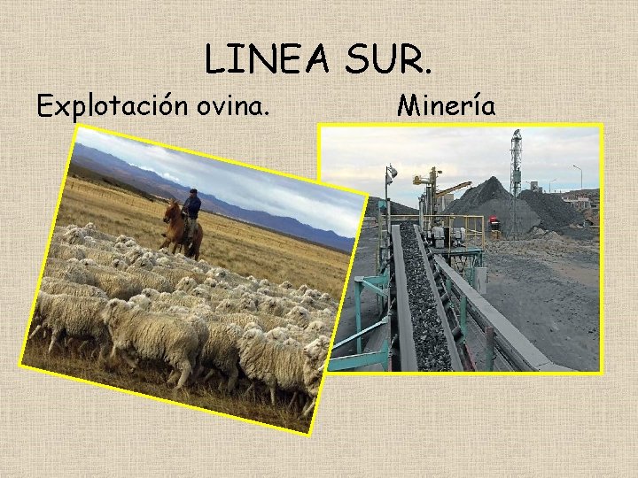 LINEA SUR. Explotación ovina. Minería 