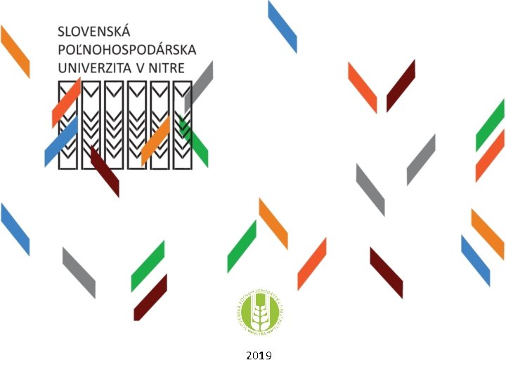 2019 