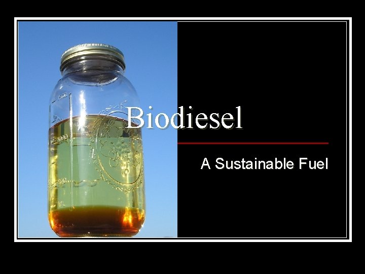 Biodiesel A Sustainable Fuel 