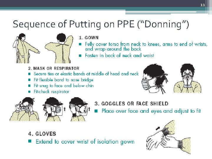 11 Sequence of Putting on PPE (“Donning”) 