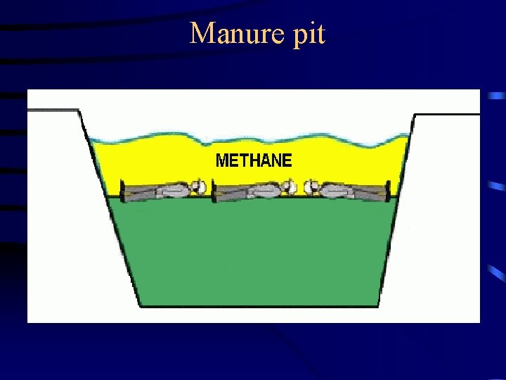 Manure pit 