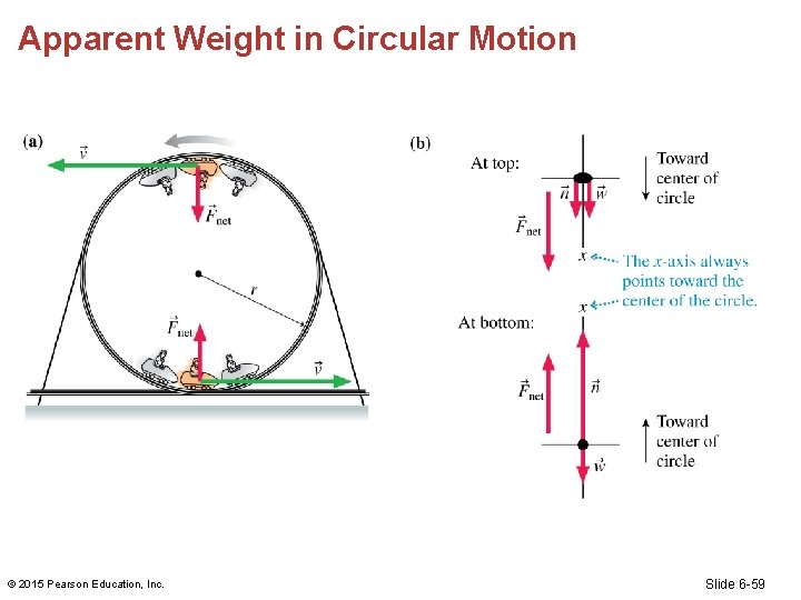 Apparent Weight in Circular Motion © 2015 Pearson Education, Inc. Slide 6 -59 