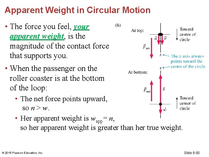 Apparent Weight in Circular Motion • The force you feel, your apparent weight, is